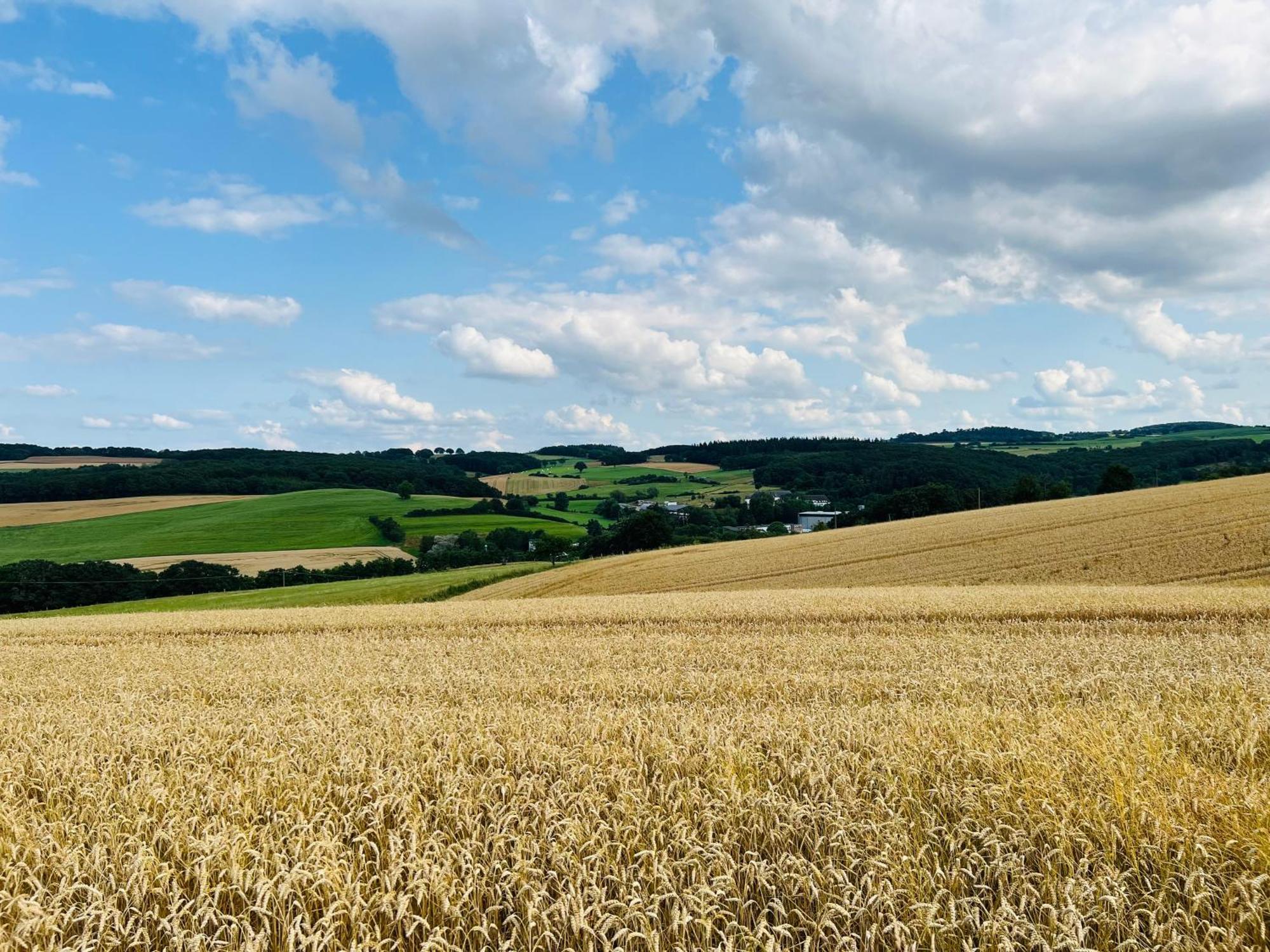 Ferienwohnung In Der Schoenen Eifel! Mechernich Zewnętrze zdjęcie